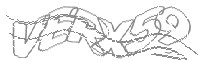 Check code